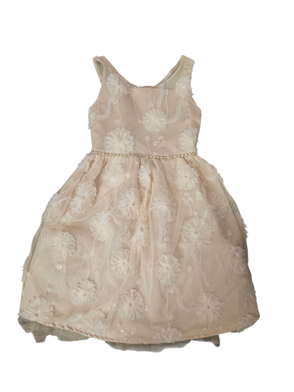 Kensie Girl Size 12 Champagne Tulle Floral Applique Special Occasion